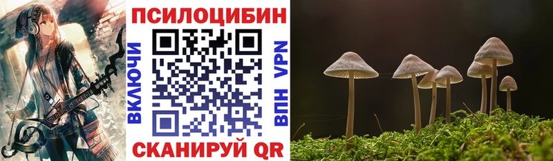 как найти закладки  Берёзовка  Псилоцибиновые грибы Magic Shrooms 